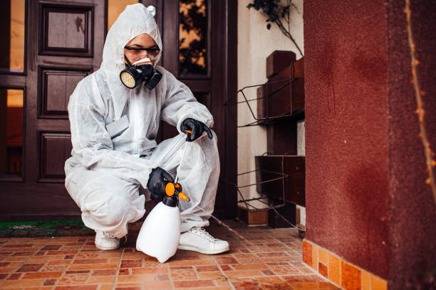Reliable Mosquito Control contractor in Lithia Springs, GA by Show Me Pest Control